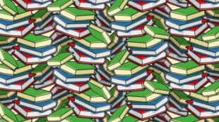 Can you see the hidden pencil in the middle of the book?
