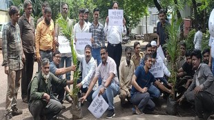 Protest by entrepreneurs and workers by planting trees in potholes on roads at bhosari in pimpri