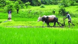 crop loan outstanding in maharashtra