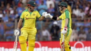 Aaron-Finch-David-Warner-