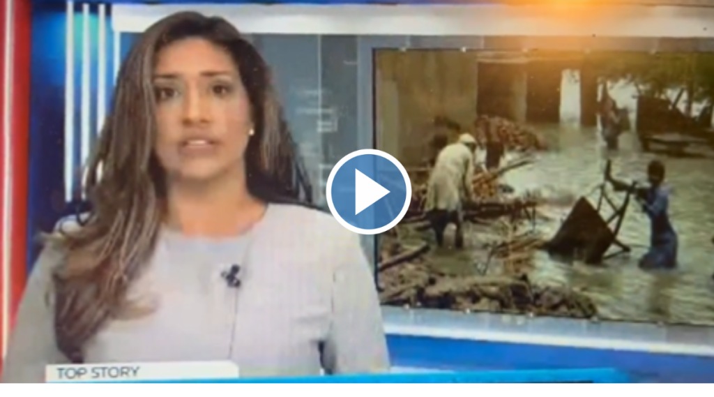 Female journalist Swallows fly