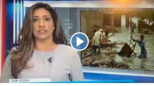 Female journalist Swallows fly