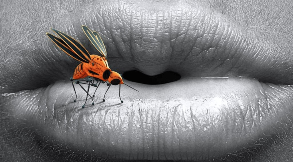 Why Do Mosquito Bite Only Few People Why Do Mosquito Bite Only Few People