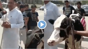 BJP MLA comes to Vidhan Bhavan with cow