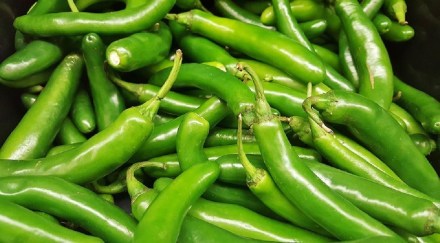 Green Chillies Benefits
