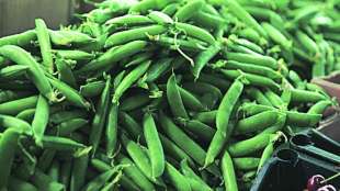 Green-peas