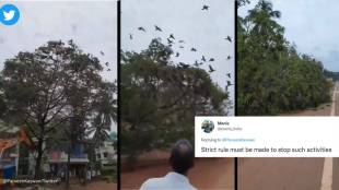 Viral Video of tree cutting down
