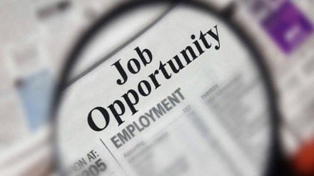 Recruitment process for 6 thousand 643 posts in Pune by pandit dindayal upadhyay rojagar melava on Saturday pune print news amy 95