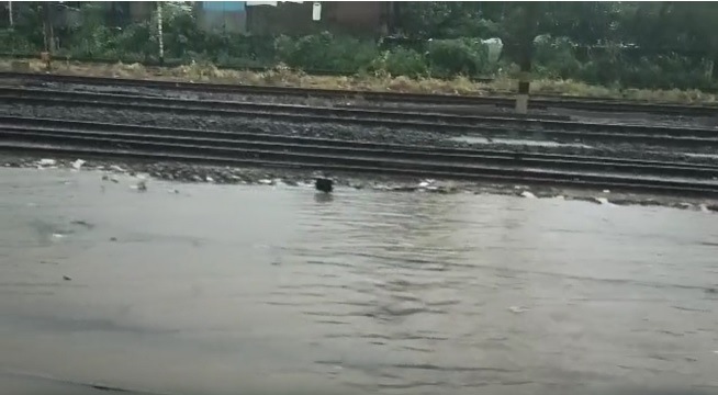 रेल्वे ट्रॅकवर पाणी साचल्याने स सीएसएमटी ते ठाणे आणि दिवा, डोंबिवली, कल्याण या सेक्शन मध्ये लोकल ट्रेन्स उशिराने धावत आहेत.