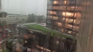 Mumbai Rain