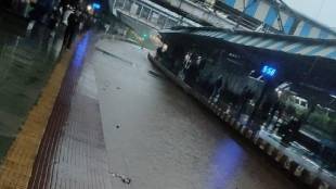 Mumbai rain new