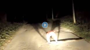 Snake-Video-Viral