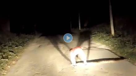 Snake-Video-Viral