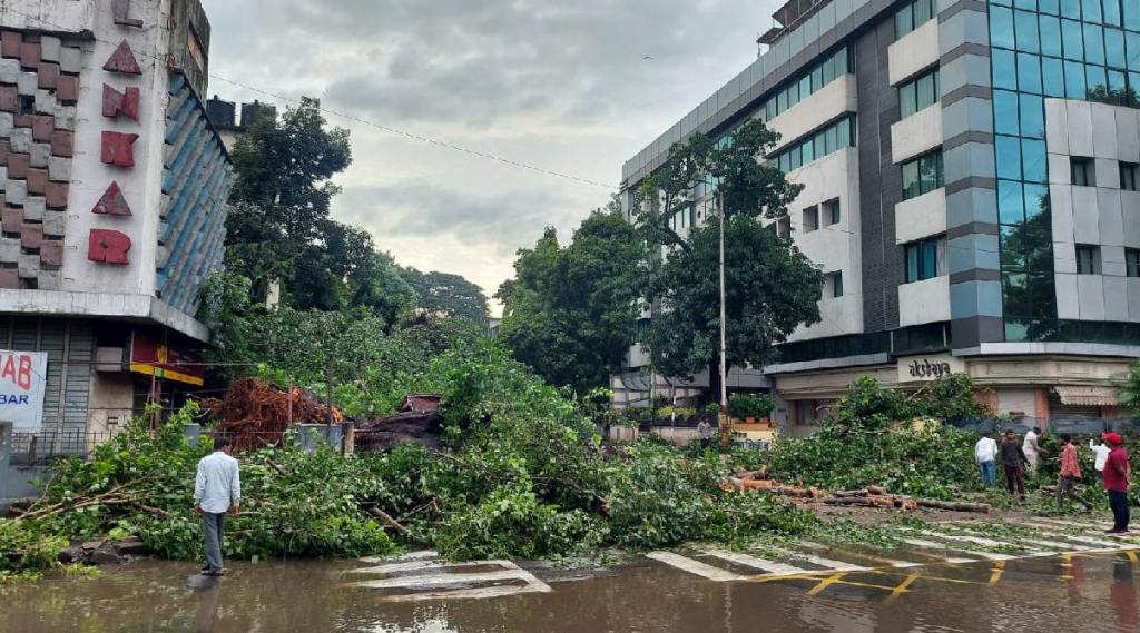 Trees fell at 14 places due to heavy rain in pune Trees fell at 14 places due to heavy rain in pune