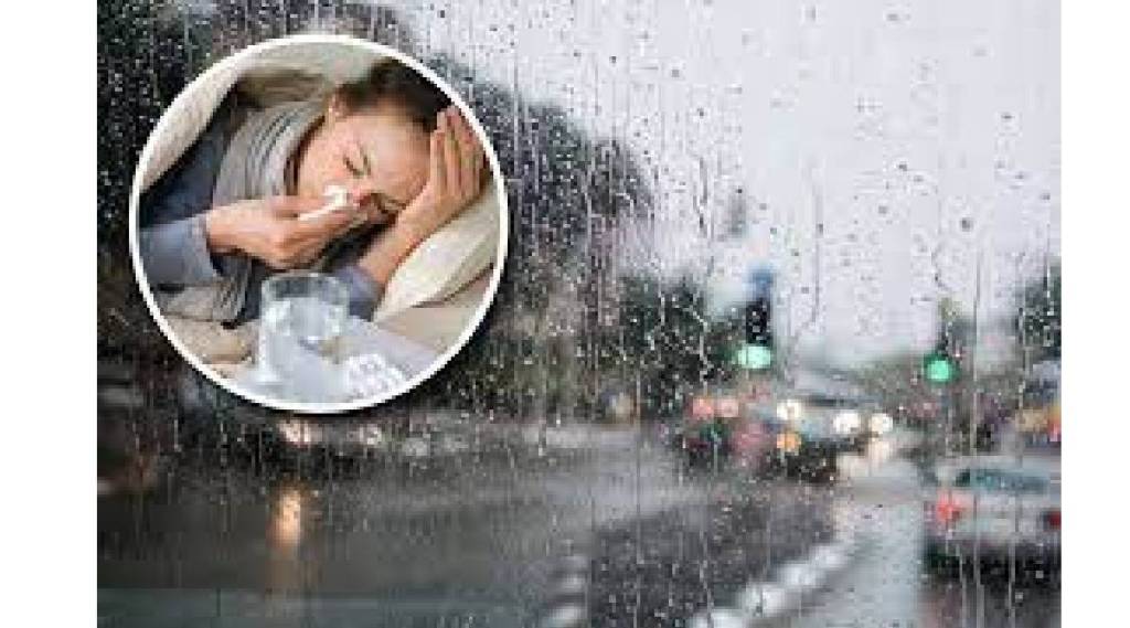 monsoon diseases