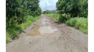 pothole on road