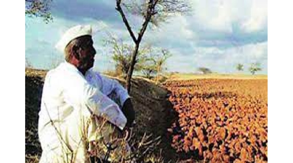 farmer