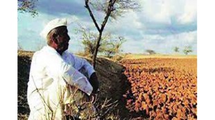 farmer