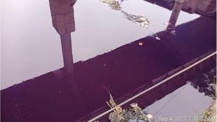 colour of valudhani river is blue Suspicion of release of untreated chemical effluent in ulhasnagar