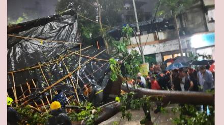 A tree fell on the mandap of Ganeshotva One dead and four injured in thane