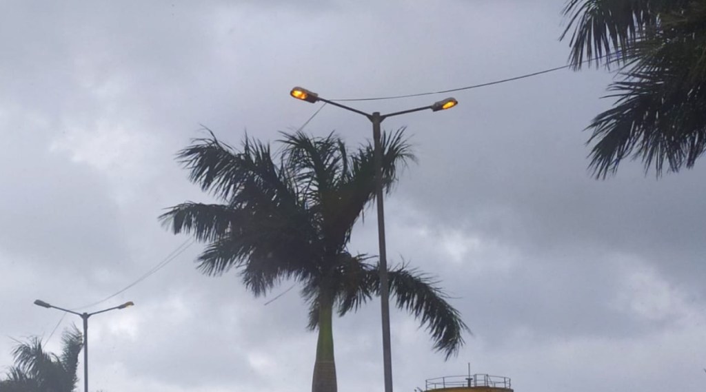 Street lights in CIDCO's Bokadvira area continue even during the day uran navi mumbai