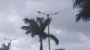 Street lights in CIDCO's Bokadvira area continue even during the day uran navi mumbai