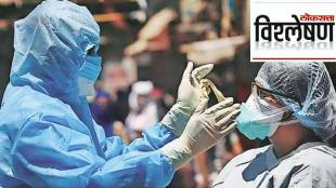 corona virus explainer