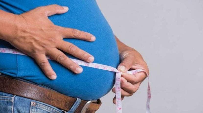 Honey For Weight Loss : वजन कमी करण्यासाठी कोणकोणत्या पदार्थाचा आणि कसा अवलंब करतात हे लोकांना माहीत नाही.
