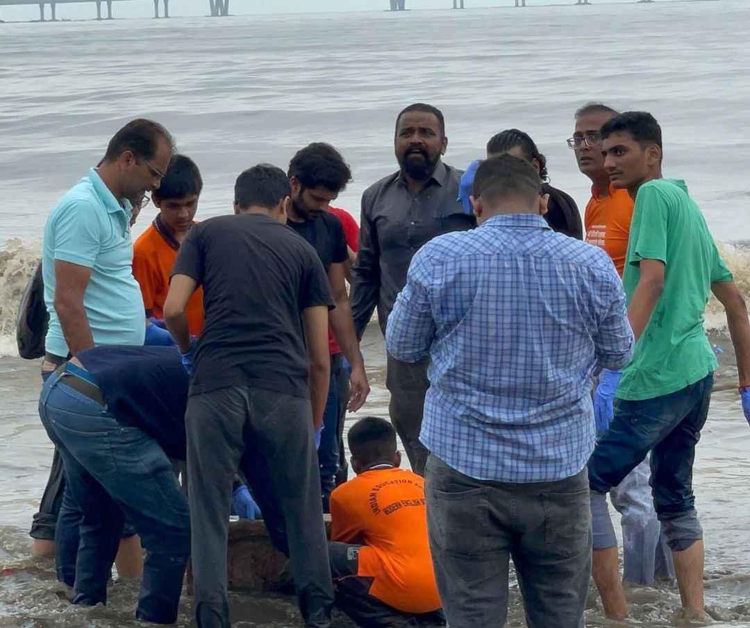 amit thackeray clean dadar chaupati beach after ganpati visarjan