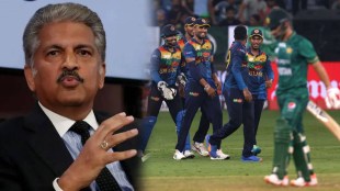 anand mahindra