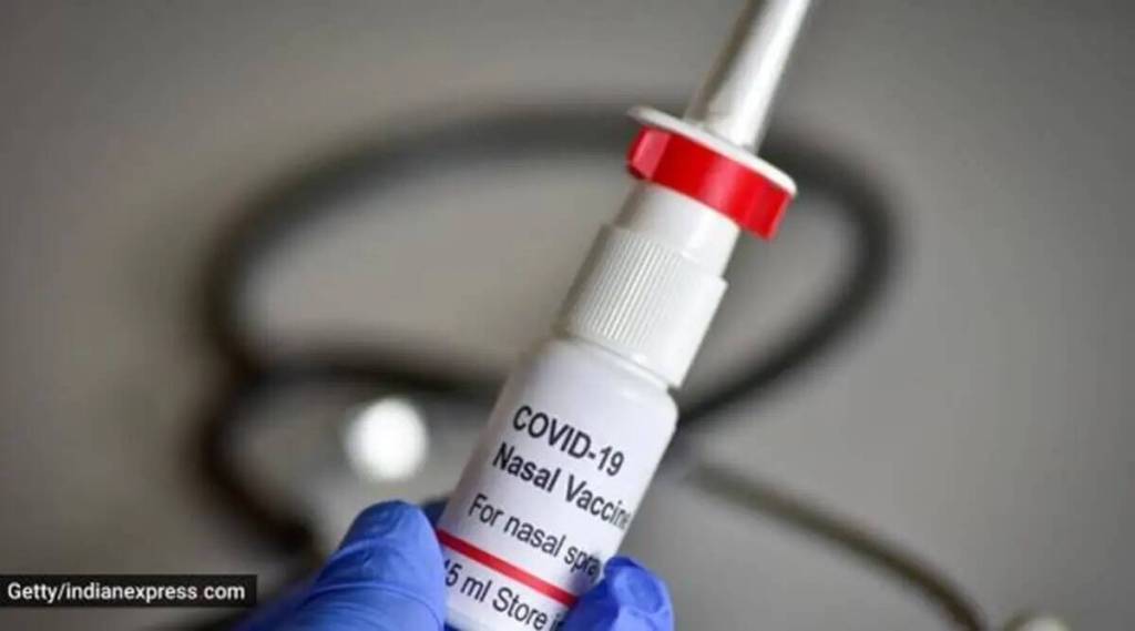 Corona vaccine spray developed by Bharat Biotech approved for emergency use in pune