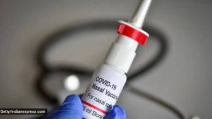 Corona vaccine spray developed by Bharat Biotech approved for emergency use in pune