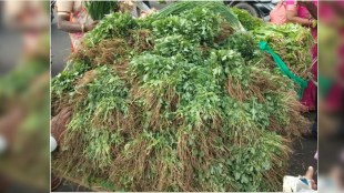 Increase in price of vegetables