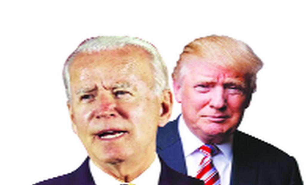 dv byden trump