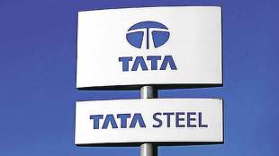 seven tata group metal companies