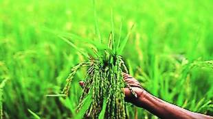 various crops information to farmers
