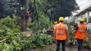 tree collaspe in hous at khopat in thane