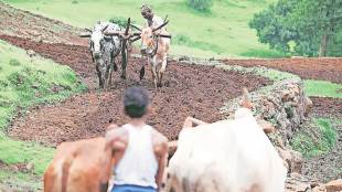 pm kisan samman nidhi yojana
