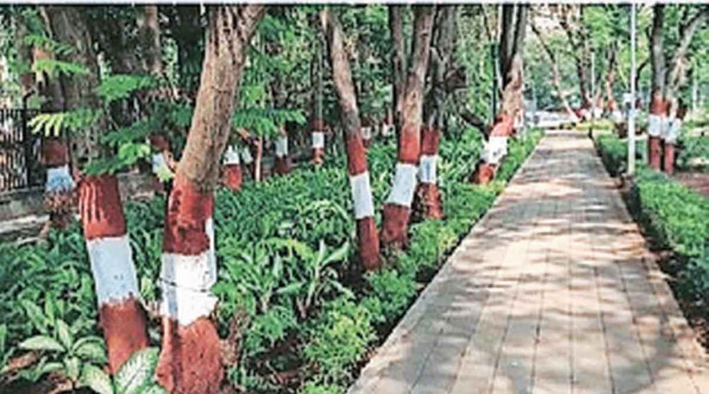 method of tree protection