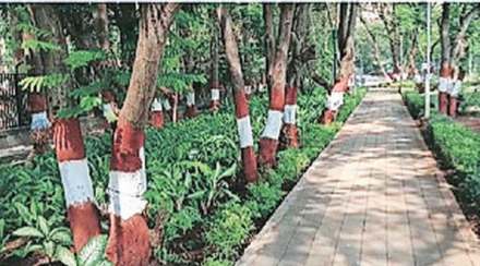 method of tree protection