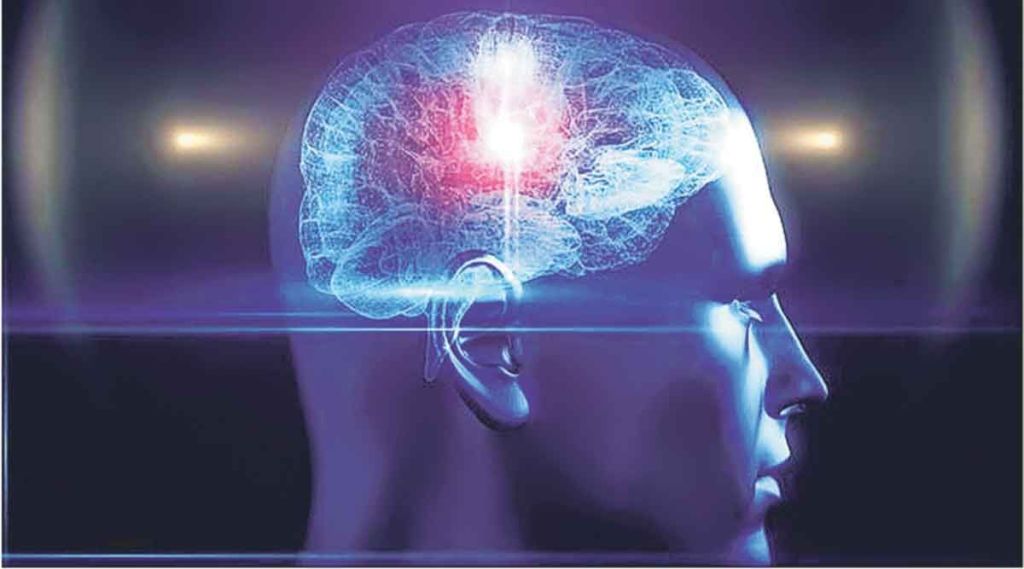 lekh brain