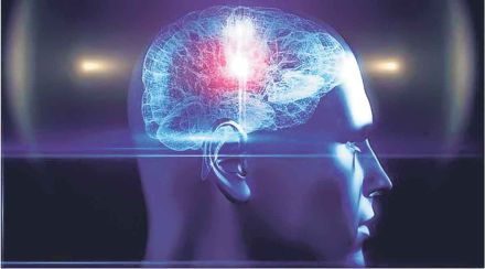 lekh brain