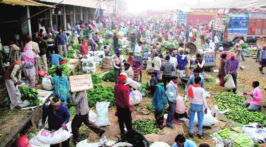 apmc market