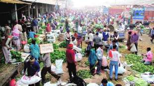 apmc market