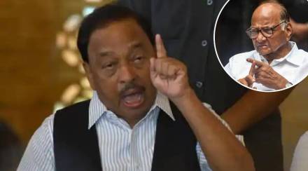 narayan rane sharad pawar