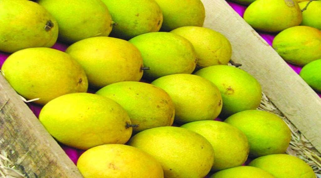 भाषासूत्र : फिरंगी शब्दांची गलबते