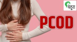 पीसीओडी की पीसीओएस? तर काय कराल?