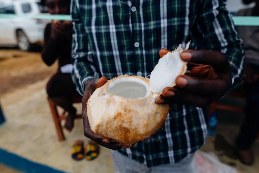 coconut 