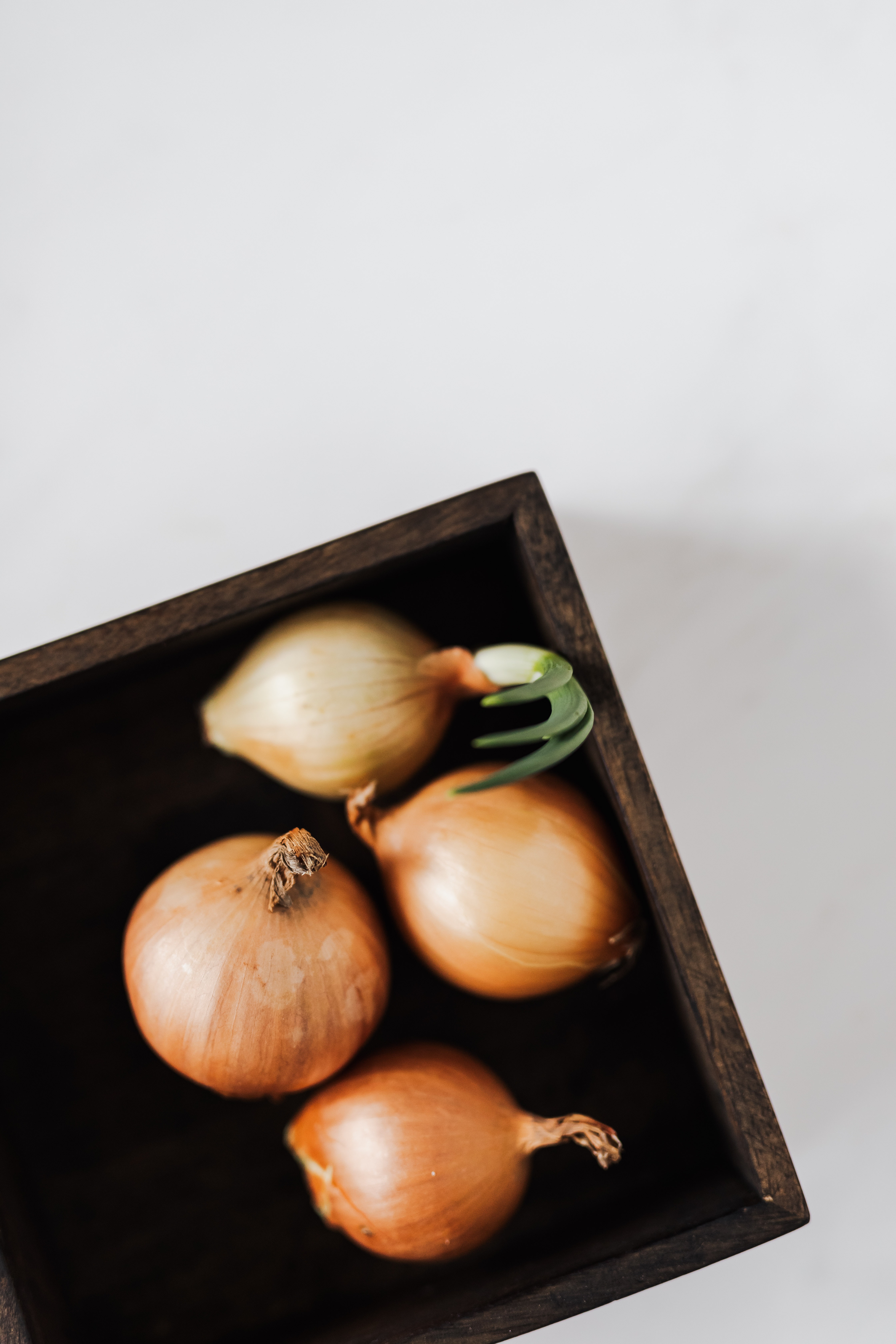 Diabetes can be controlled by drinking onion water