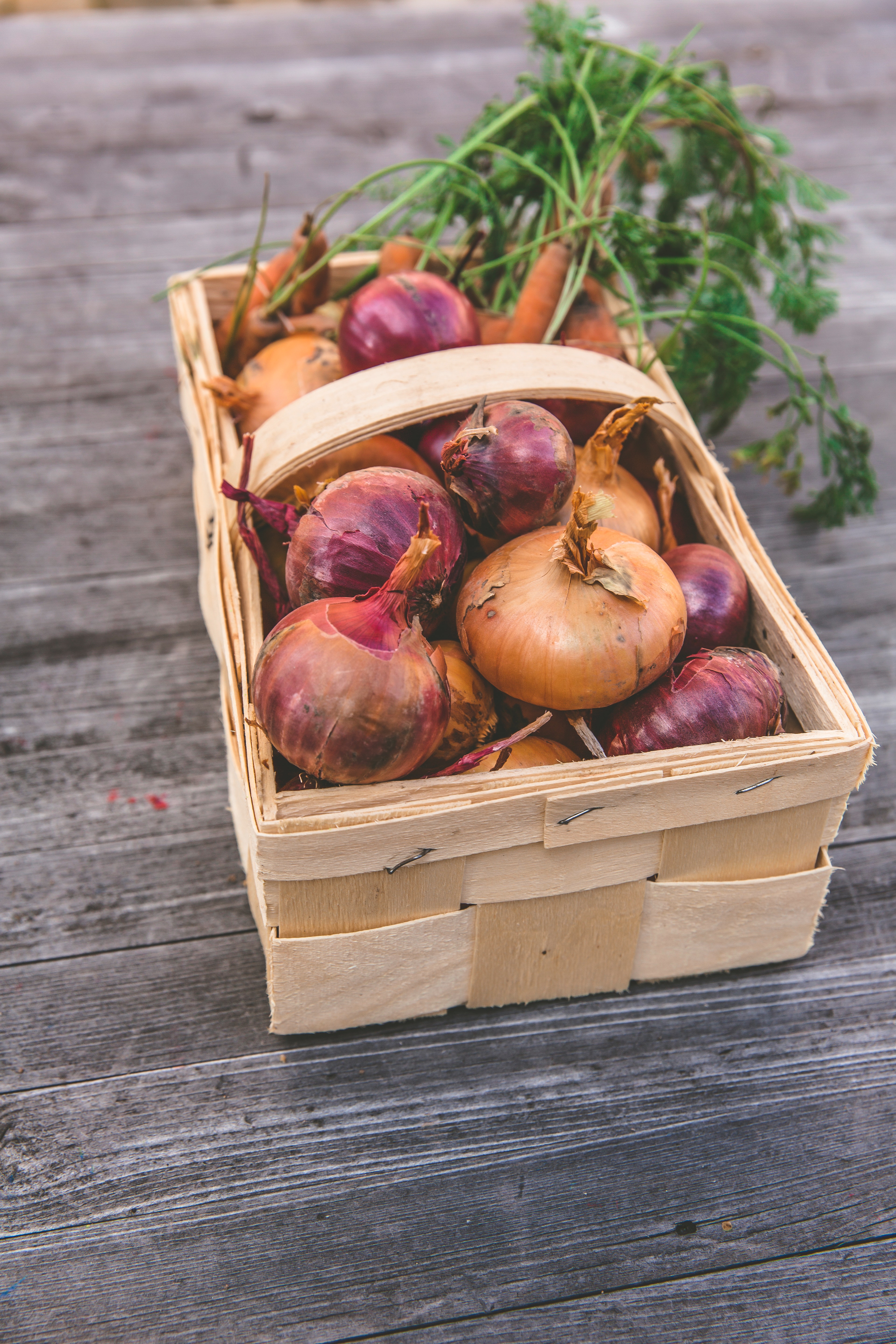 Diabetes can be controlled by drinking onion water